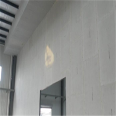 大竹宁波ALC板|EPS加气板隔墙与混凝土整浇联接的实验研讨